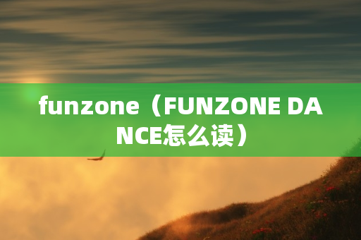 funzone（FUNZONE DANCE怎么读）