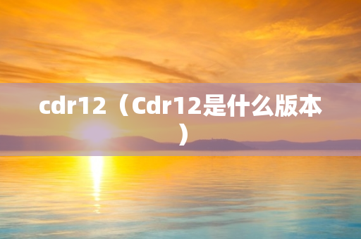 cdr12（Cdr12是什么版本）