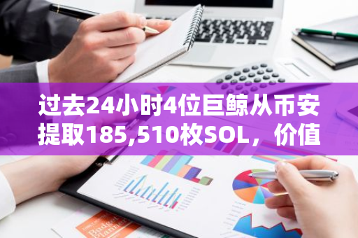 过去24小时4位巨鲸从币安提取185,510枚SOL，价值约4246万美元