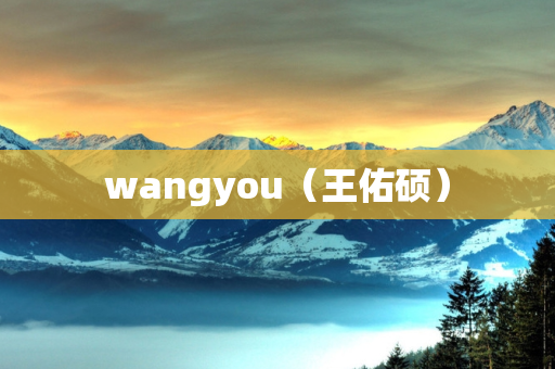 wangyou（王佑硕）