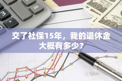 交了社保15年，我的退休金大概有多少？