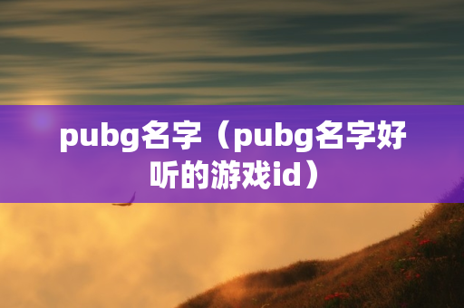 pubg名字（pubg名字好听的游戏id）