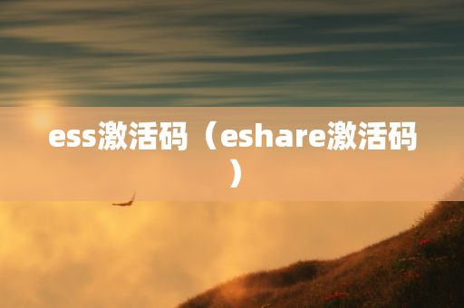 ess激活码（eshare激活码）