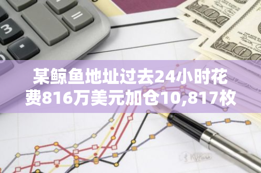 某鲸鱼地址过去24小时花费816万美元加仓10,817枚BNB