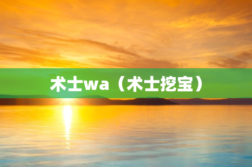 术士wa（术士挖宝）