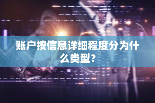 账户按信息详细程度分为什么类型？