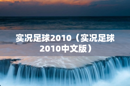 实况足球2010（实况足球2010中文版）