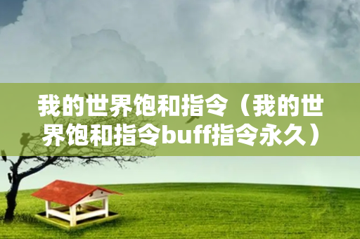 我的世界饱和指令（我的世界饱和指令buff指令永久）