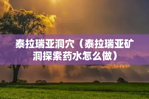 泰拉瑞亚洞穴（泰拉瑞亚矿洞探索药水怎么做）