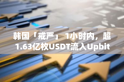 韩国「戒严」 1小时内，超1.63亿枚USDT流入Upbit