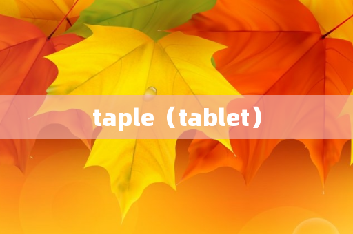 taple（tablet）