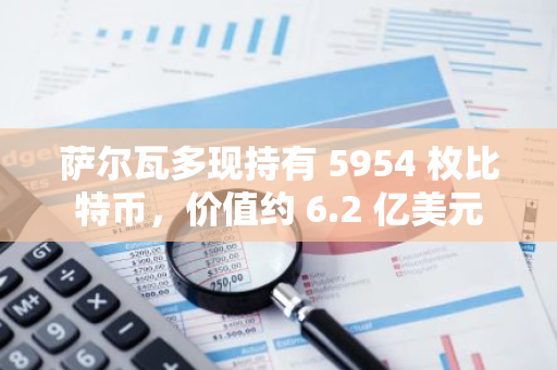 萨尔瓦多现持有 5954 枚比特币，价值约 6.2 亿美元