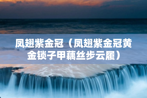 凤翅紫金冠（凤翅紫金冠黄金锁子甲藕丝步云履）