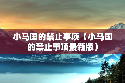 小马国的禁止事项（小马国的禁止事项最新版）