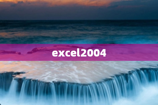 excel2004