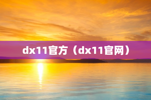 dx11官方（dx11官网）