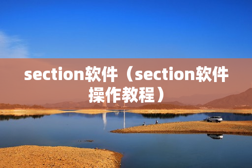 section软件（section软件操作教程）