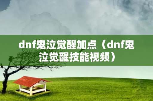 dnf鬼泣觉醒加点（dnf鬼泣觉醒技能视频）