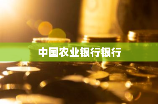 中国农业银行银行