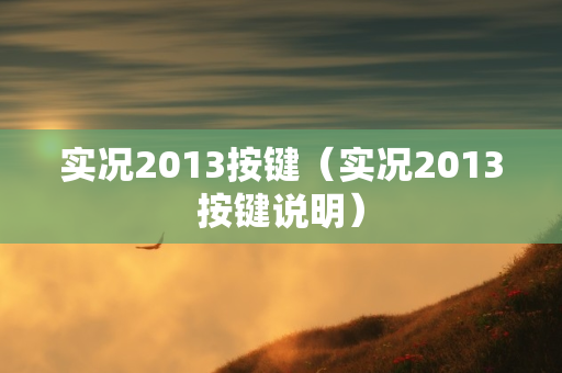 实况2013按键（实况2013按键说明）