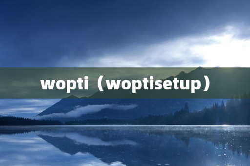 wopti（woptisetup）