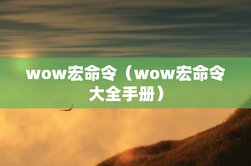 wow宏命令（wow宏命令大全手册）