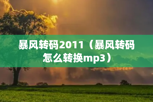 暴风转码2011（暴风转码怎么转换mp3）