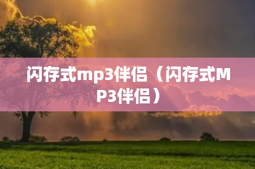 闪存式mp3伴侣（闪存式MP3伴侣）