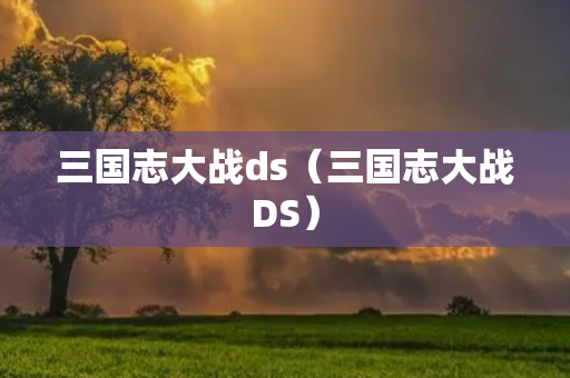 三国志大战ds（三国志大战DS）