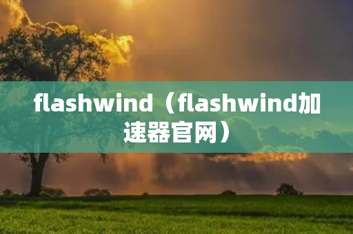 flashwind（flashwind加速器官网）