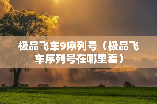 极品飞车9序列号（极品飞车序列号在哪里看）