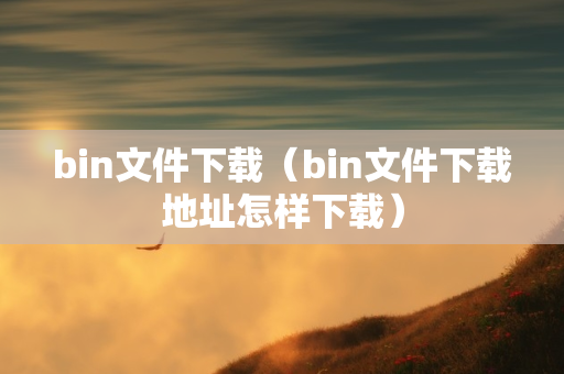 bin文件下载（bin文件下载地址怎样下载）