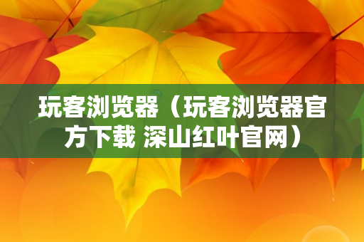 玩客浏览器（玩客浏览器官方下载 深山红叶官网）