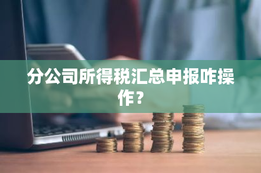 分公司所得税汇总申报咋操作？