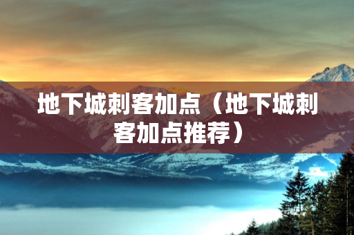 地下城刺客加点（地下城刺客加点推荐）