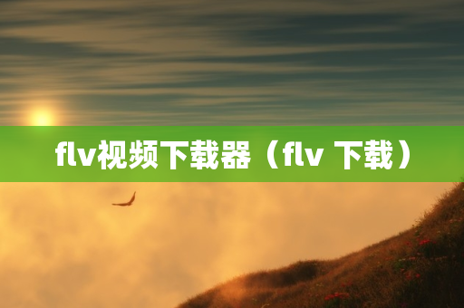 flv视频下载器（flv 下载）