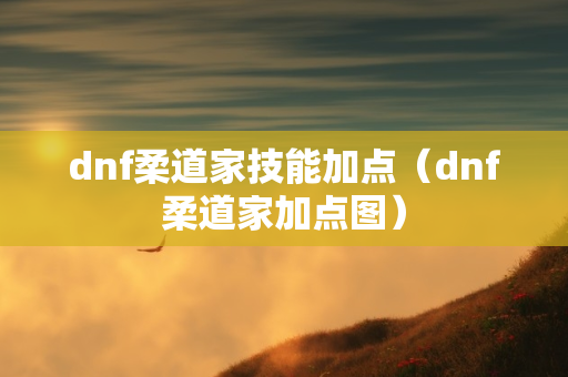 dnf柔道家技能加点（dnf柔道家加点图）