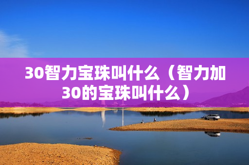 30智力宝珠叫什么（智力加30的宝珠叫什么）