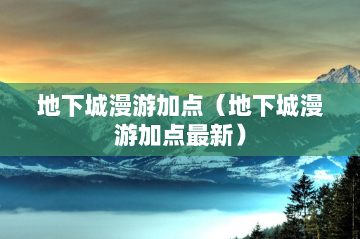 地下城漫游加点（地下城漫游加点最新）