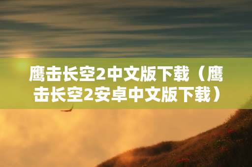 鹰击长空2中文版下载（鹰击长空2安卓中文版下载）