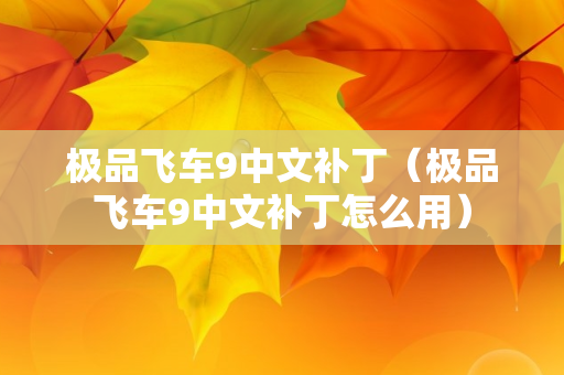 极品飞车9中文补丁（极品飞车9中文补丁怎么用）