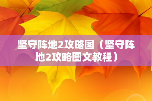 坚守阵地2攻略图（坚守阵地2攻略图文教程）