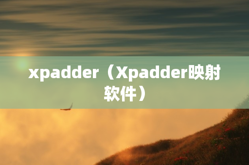 xpadder（Xpadder映射软件）