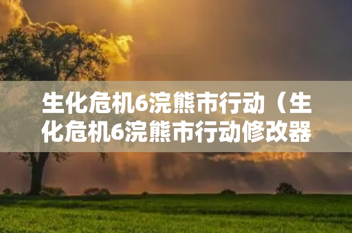 生化危机6浣熊市行动（生化危机6浣熊市行动修改器）