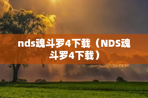 nds魂斗罗4下载（NDS魂斗罗4下载）