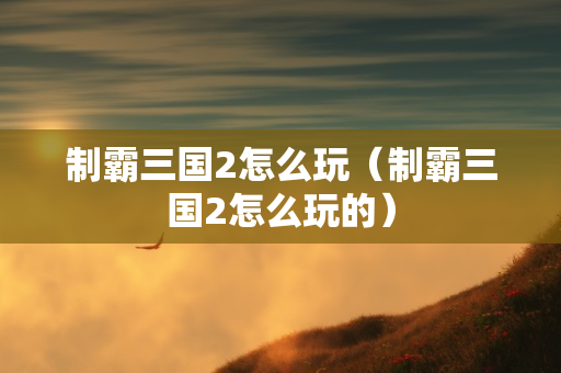 制霸三国2怎么玩（制霸三国2怎么玩的）