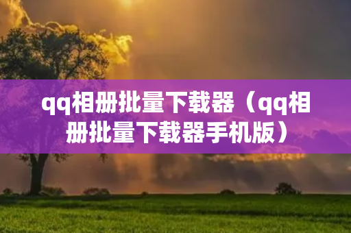 qq相册批量下载器（qq相册批量下载器手机版）