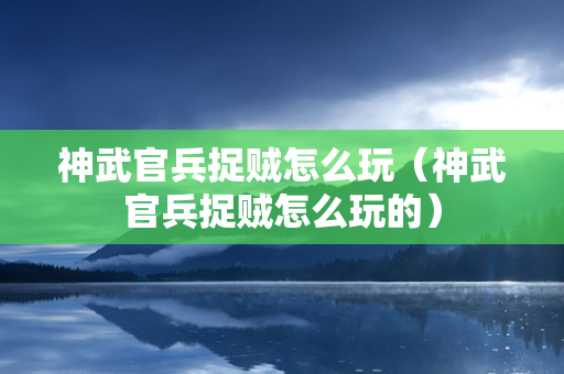 神武官兵捉贼怎么玩（神武官兵捉贼怎么玩的）