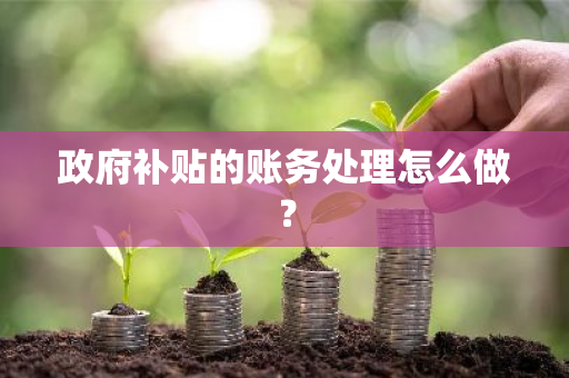 政府补贴的账务处理怎么做？