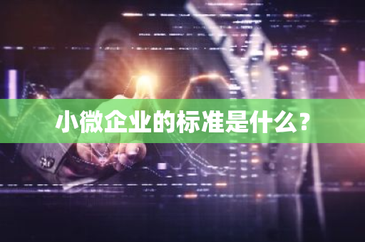 小微企业的标准是什么？